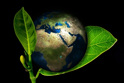 Logo Ancestral