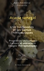 Acacia senegal