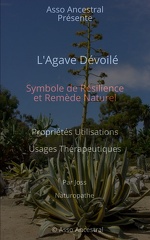 Agave Dévoilé