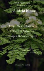 Albizia blanc