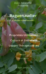 Baguenaudier