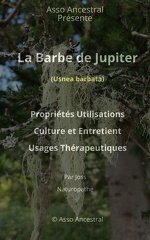 Barbe de Jupiter