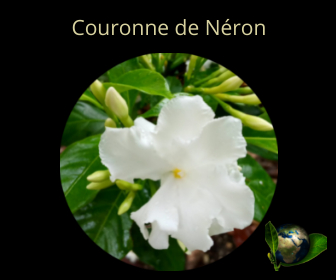 Couronne de Néron