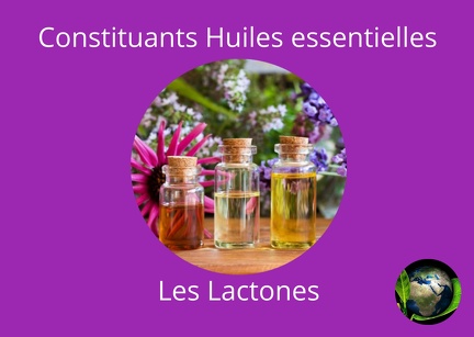 Constituants-He Les lactones