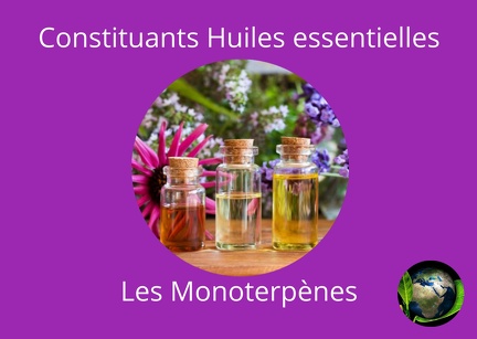 Constituants-He les Monoterpènes
