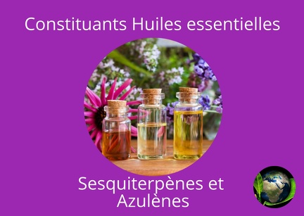 constituants he sesquiterpènes et azulènes