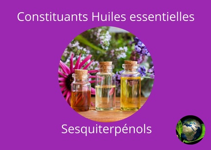 Constituants He les sesquiterpénols