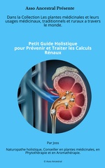 Petit Guide Holistique Prévenir et Traiter les Calculs Rénaux