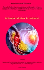 Petit guide holistique du cholestérol