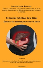 Petit guide holistique de la détox