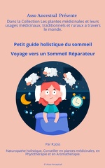 Petit guide holistique du sommeil