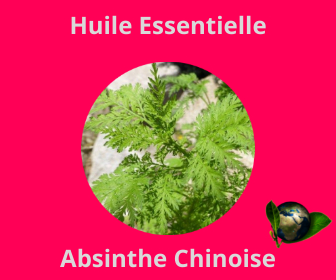 Absinthe Chinoise HE