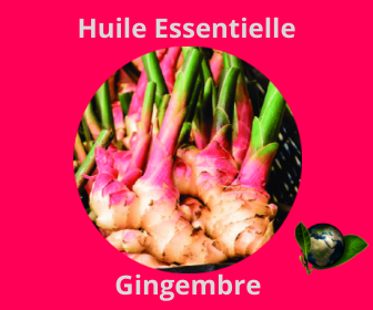 Gingembre HE