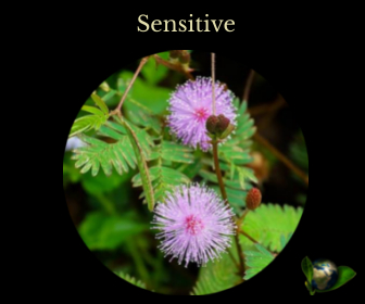Sensitive