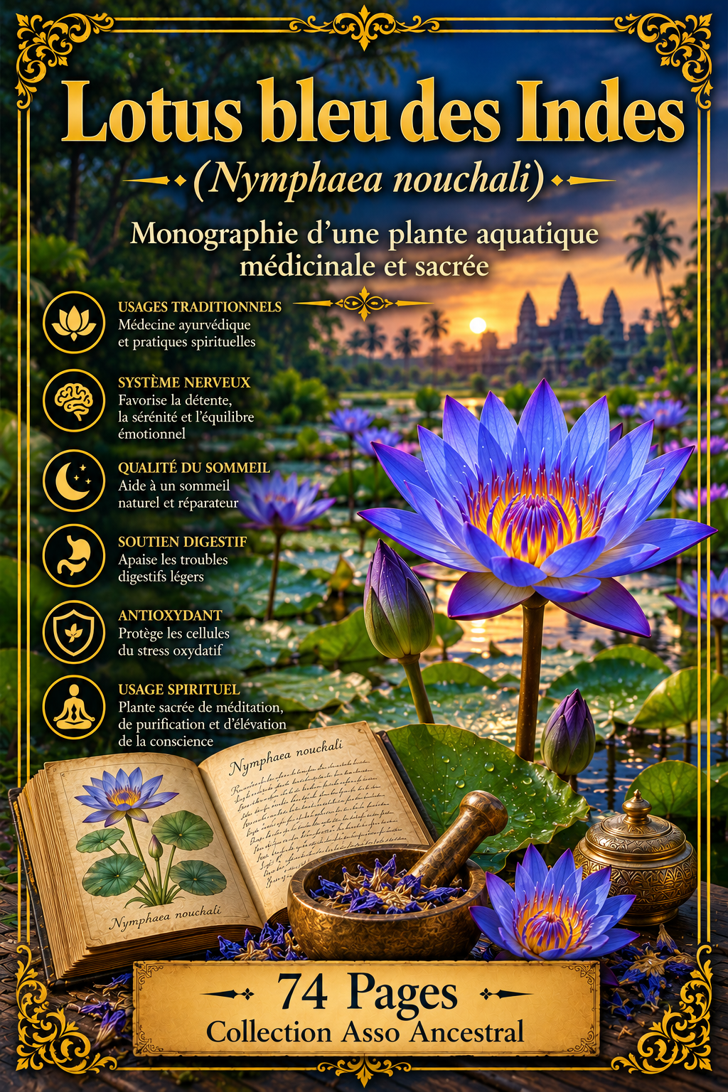 Couverture ou illustration du livre Lotus bleu des Indes