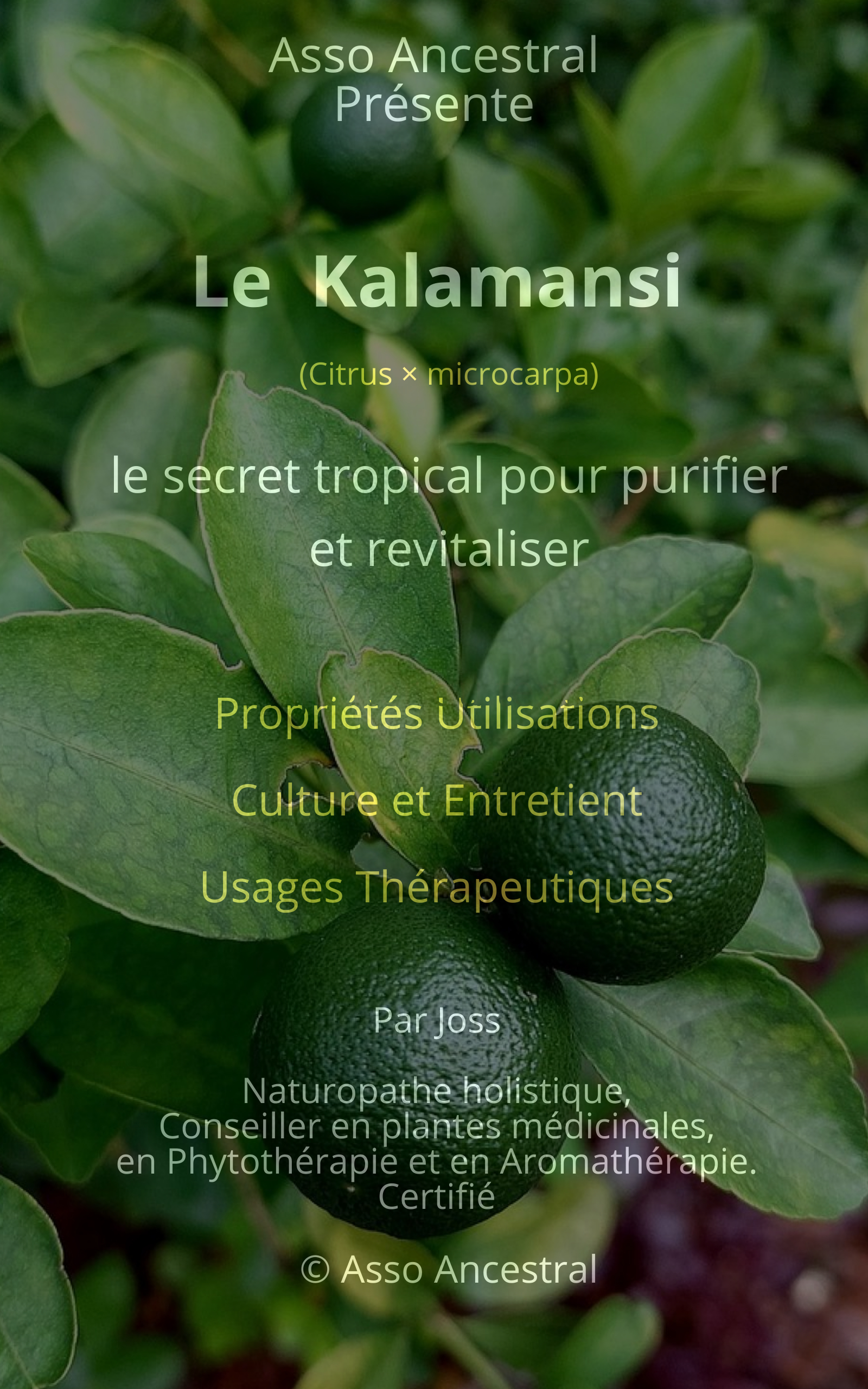 Couverture ou illustration du livre Kalamansi