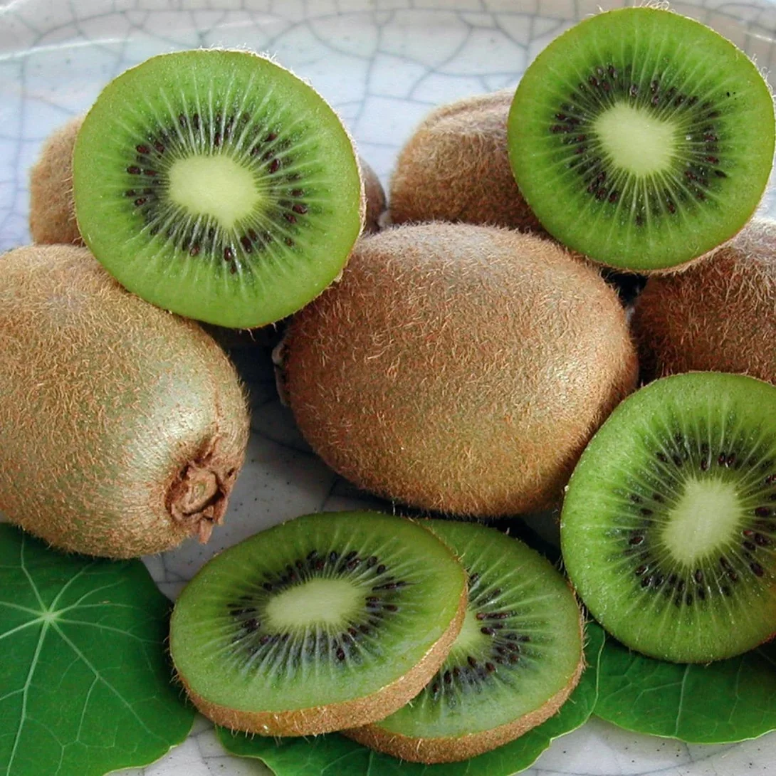 Photographie de Kiwi vert