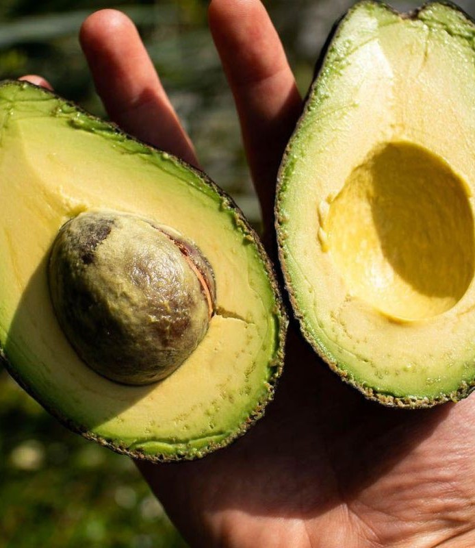 Photographie de Avocat