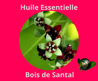 Bois de Santal HE