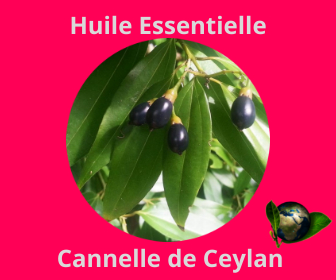Cannelle de Ceylan HE