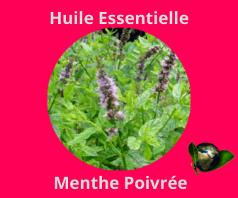 Menthe Poivrée HE