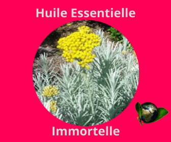 Immortelle HE