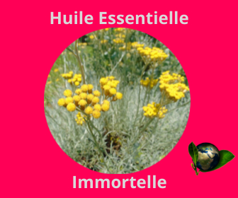 Immortelle HE