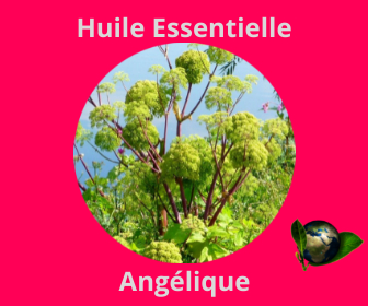 Angélique HE