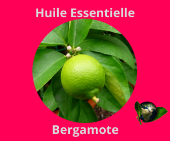 Bergamote HE
