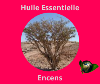Encens HE