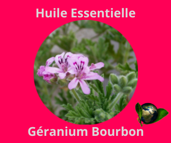 Géranium Bourbon HE