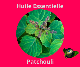 Patchouli HE