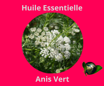 Anis Vert HE