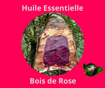 Bois de Rose HE