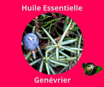 Genévrier HE