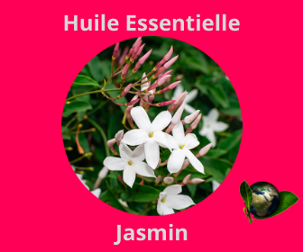 Jasmin HE