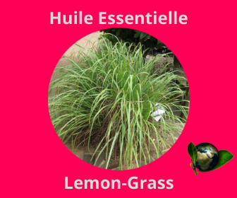 Lemon-Grass HE