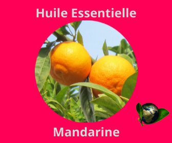 Mandarine HE