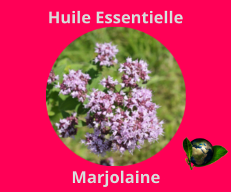 Marjolaine HE