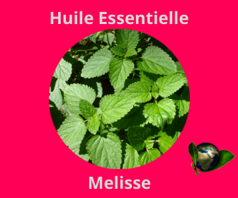Melisse HE