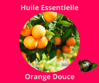 Orange Douce HE
