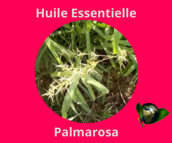 Palmarosa HE