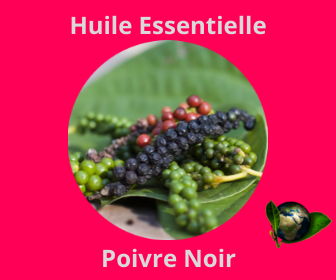 Poivre Noir HE
