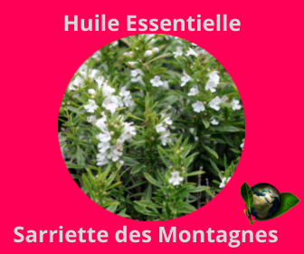 Sarriette des Montagnes HE