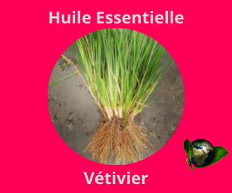 Vétivier HE