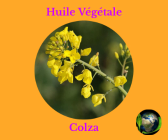 Colza HV
