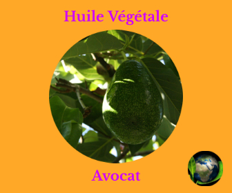 Avocat HV