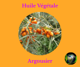 Argousier HV