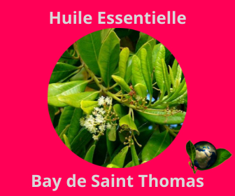 Bay de Saint Thomas HE
