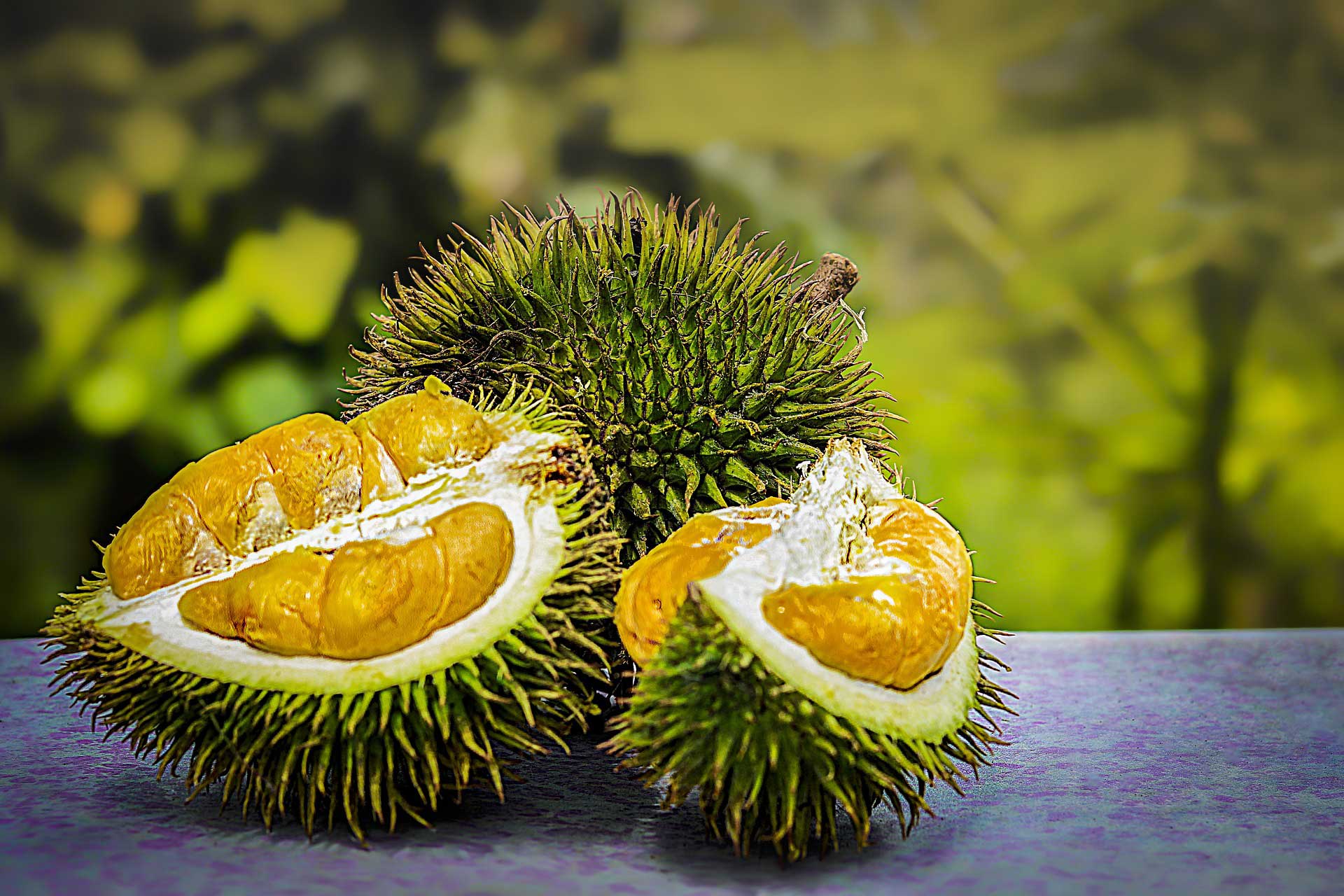 Photographie de Durian